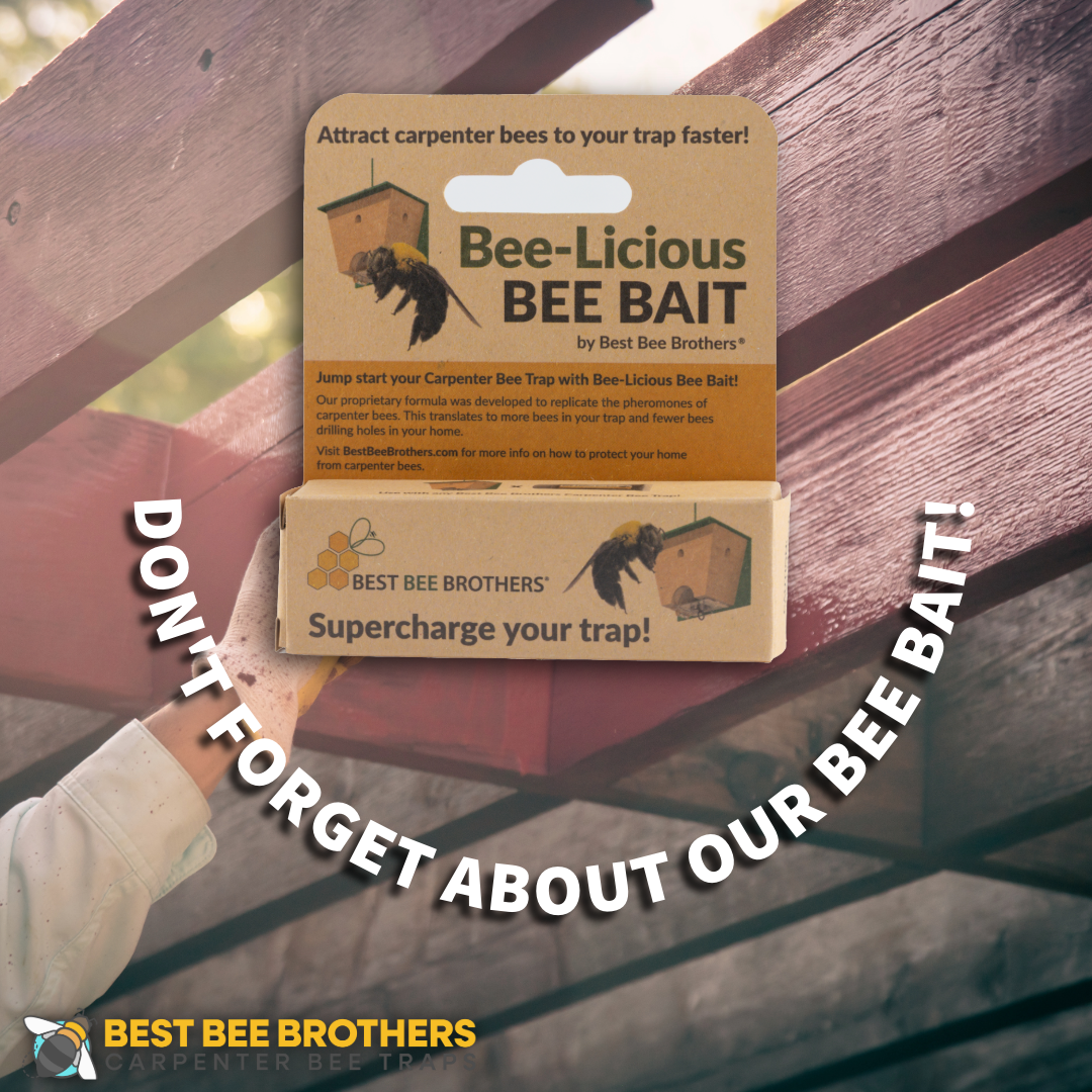 Ultimate Pro with Color Roof, Carpenter Bee Trap with Bee Vault and Extra Large External Receptacle