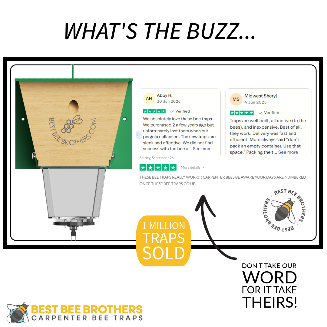 Ultimate Pro, Carpenter Bee Trap with Bee Vault and Extra Large External Receptacle