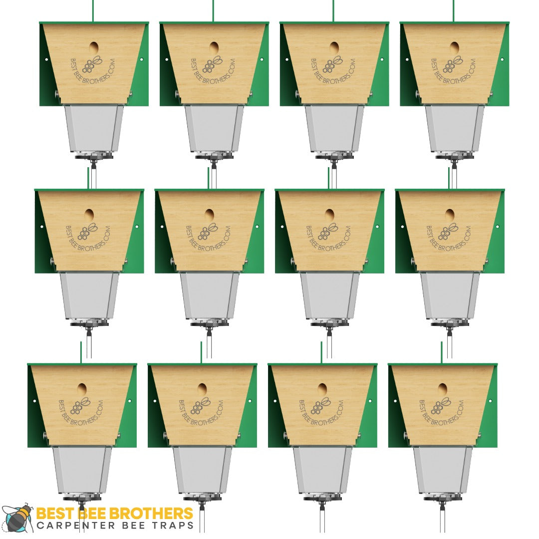 Ultimate Pro, Carpenter Bee Trap with Bee Vault and Extra Large External Receptacle