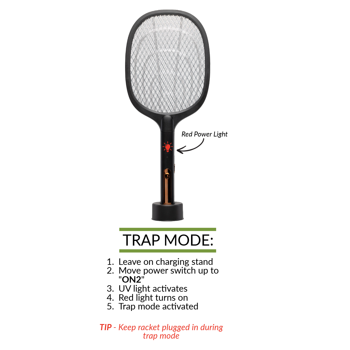 Carpenter Bee Control Kit