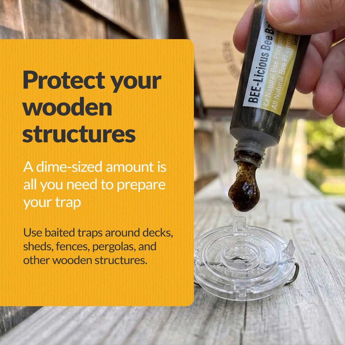 Carpenter Bee Licious Bait