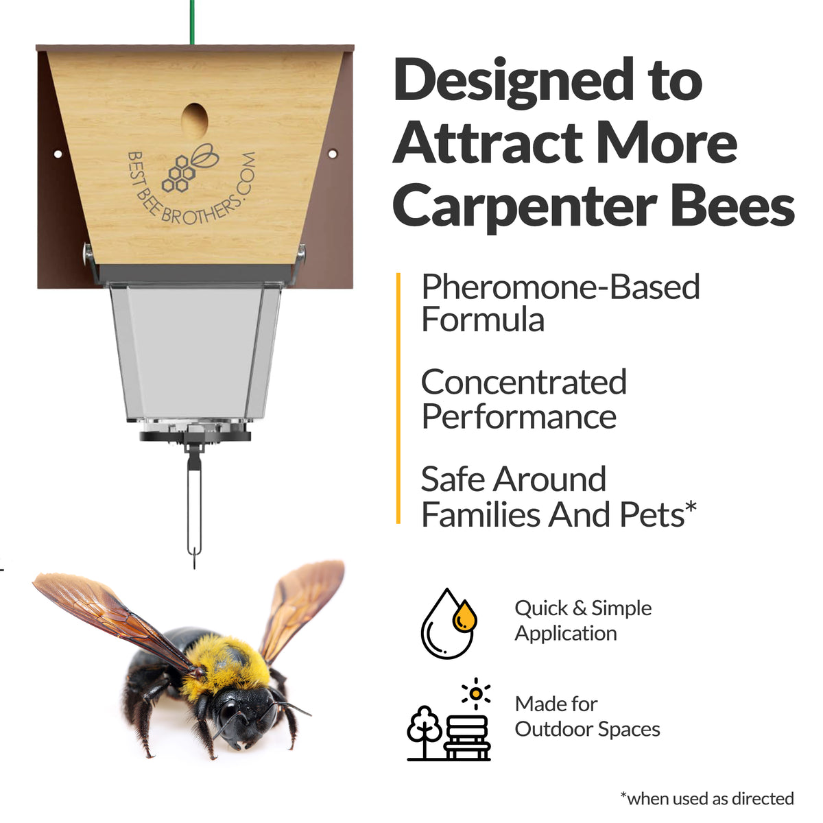 Carpenter Bee Licious Bait