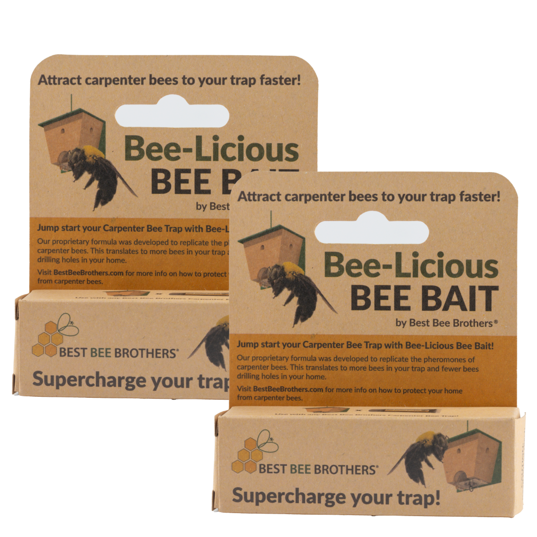 Bee-Licious Bee Bait 2 Pack