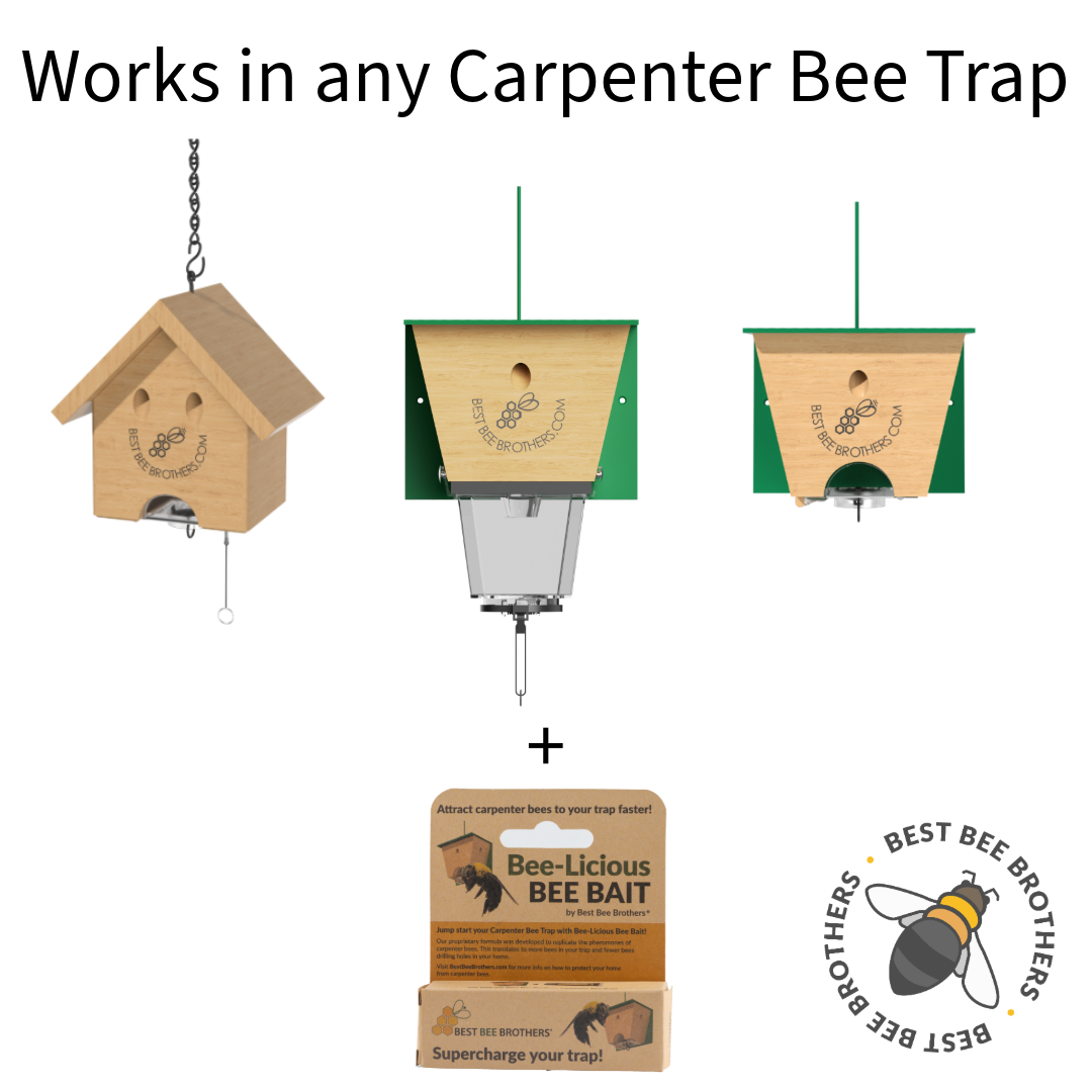 Carpenter Bee Licious Bait