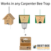 Carpenter Bee Licious Bait