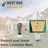 Carpenter Bee Licious Bait