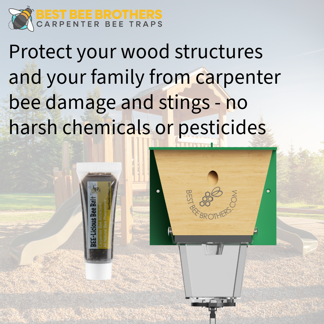 Bee-Licious Bee Bait 2 Pack