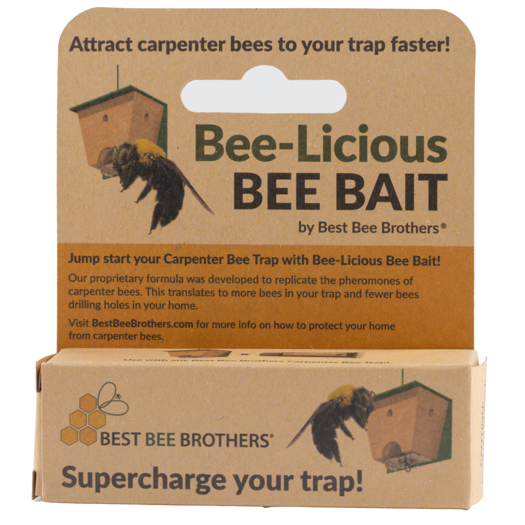 Carpenter Bee Licious Bait