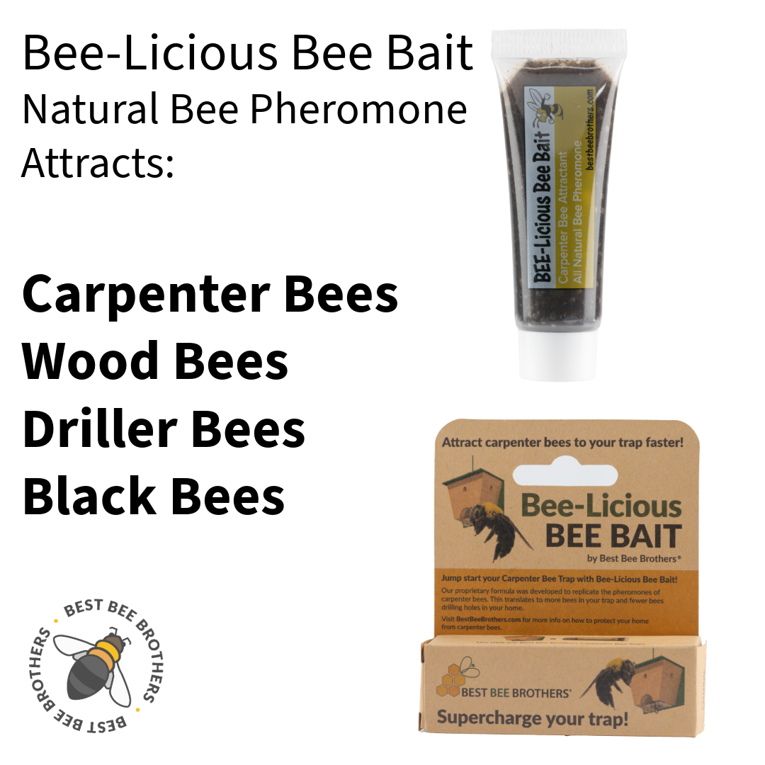 Bee-Licious Bee Bait 2 Pack