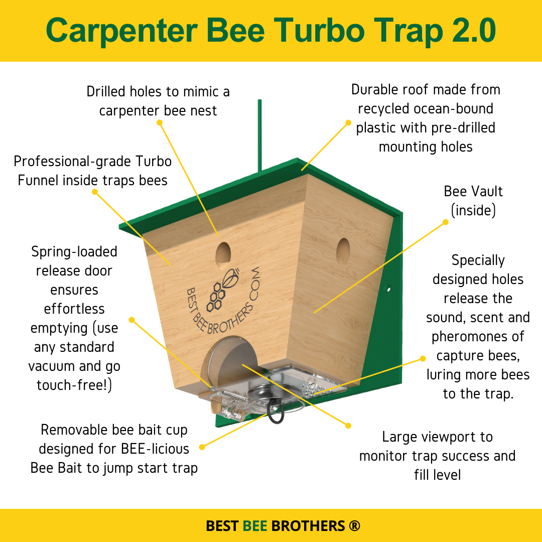 COMBO #2 - 2 Carpenter Bee Turbo Traps 2.0 with Bee Vault and 1 Bee-Licious Bee Bait