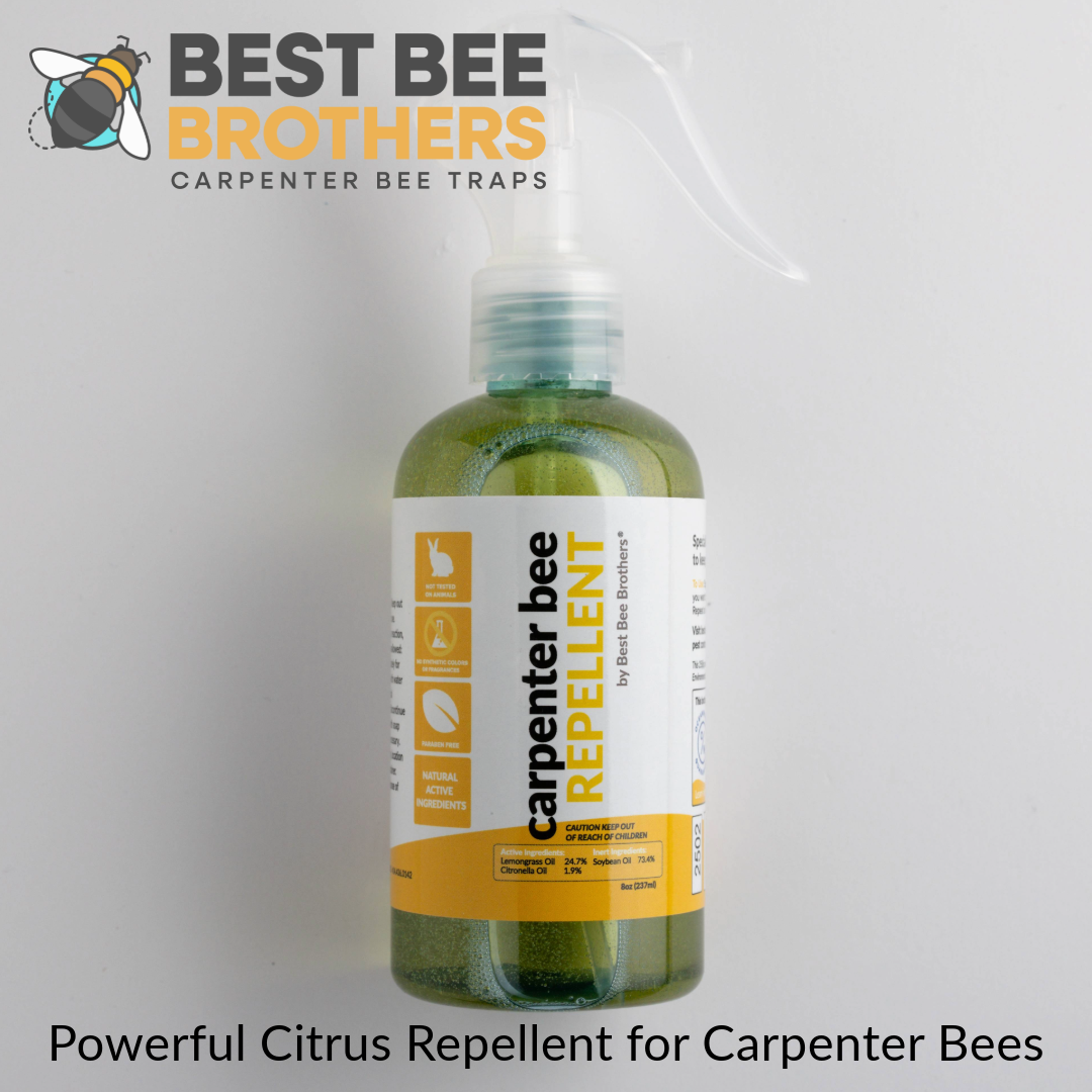 Citrus Carpenter Bee Repellent Spray