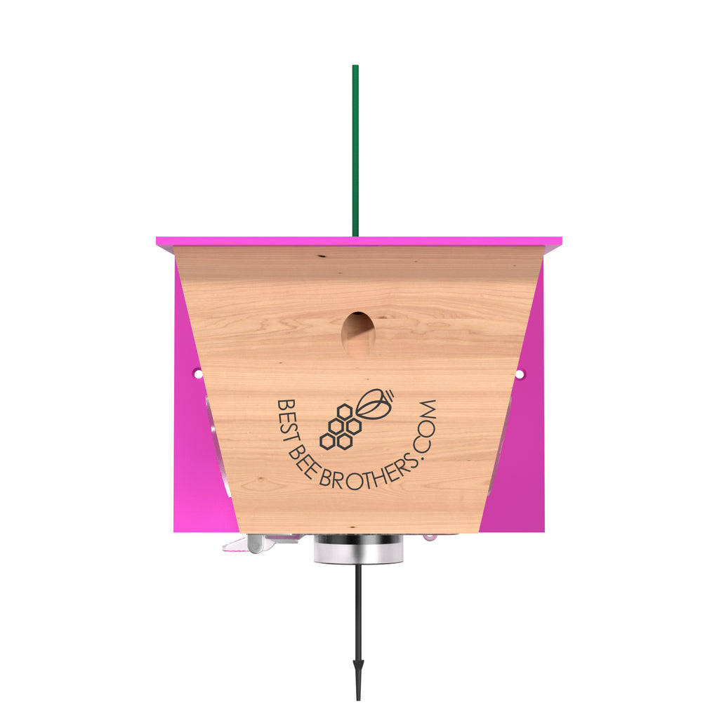 Turbo Trap for Catching Carpenter Bees - Pink Roof