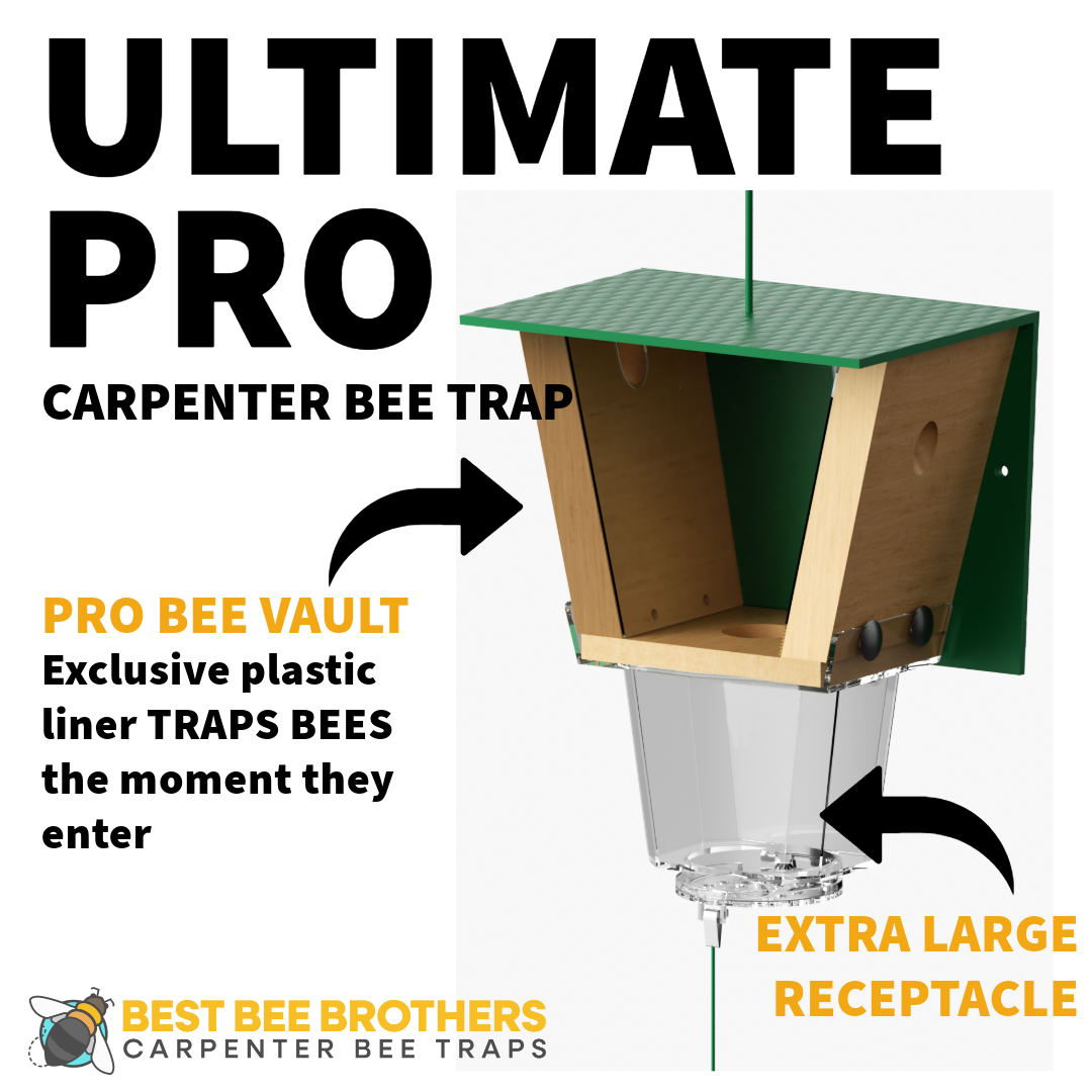 Ultimate Pro, Carpenter Bee Trap with Bee Vault and Extra Large External Receptacle