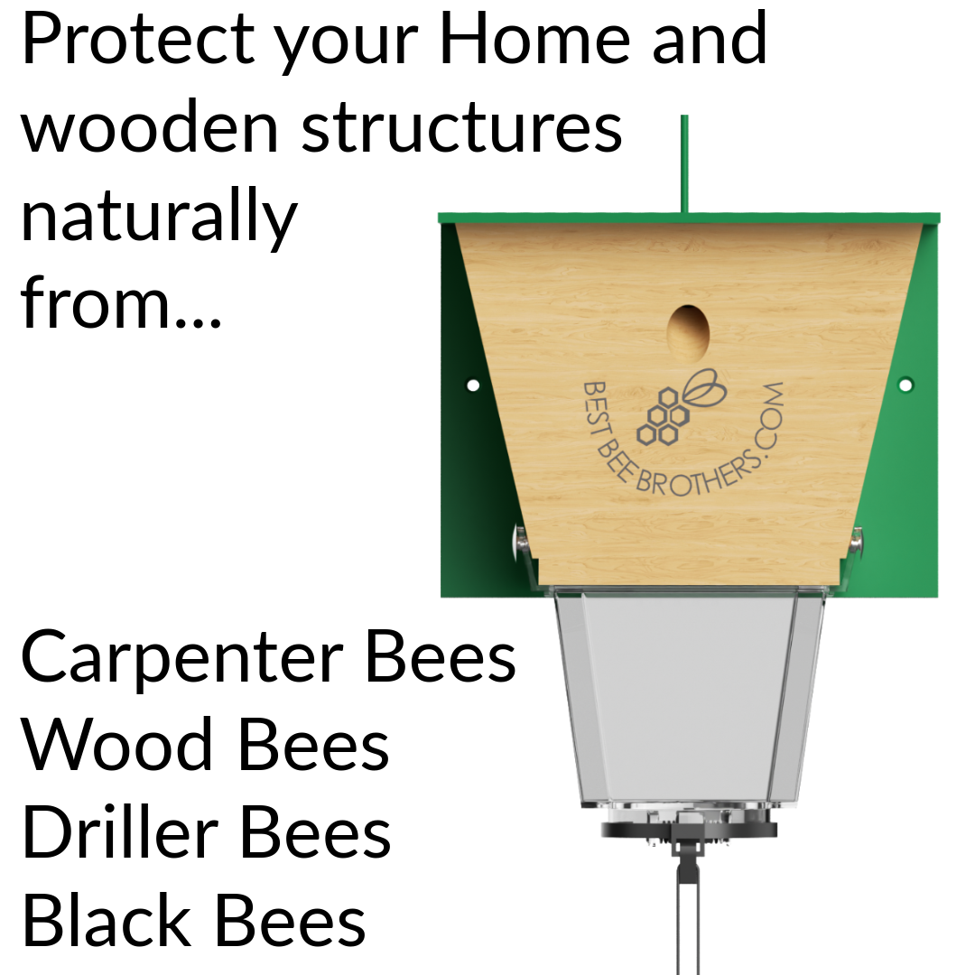 Ultimate Pro, Carpenter Bee Trap with Bee Vault and Extra Large External Receptacle
