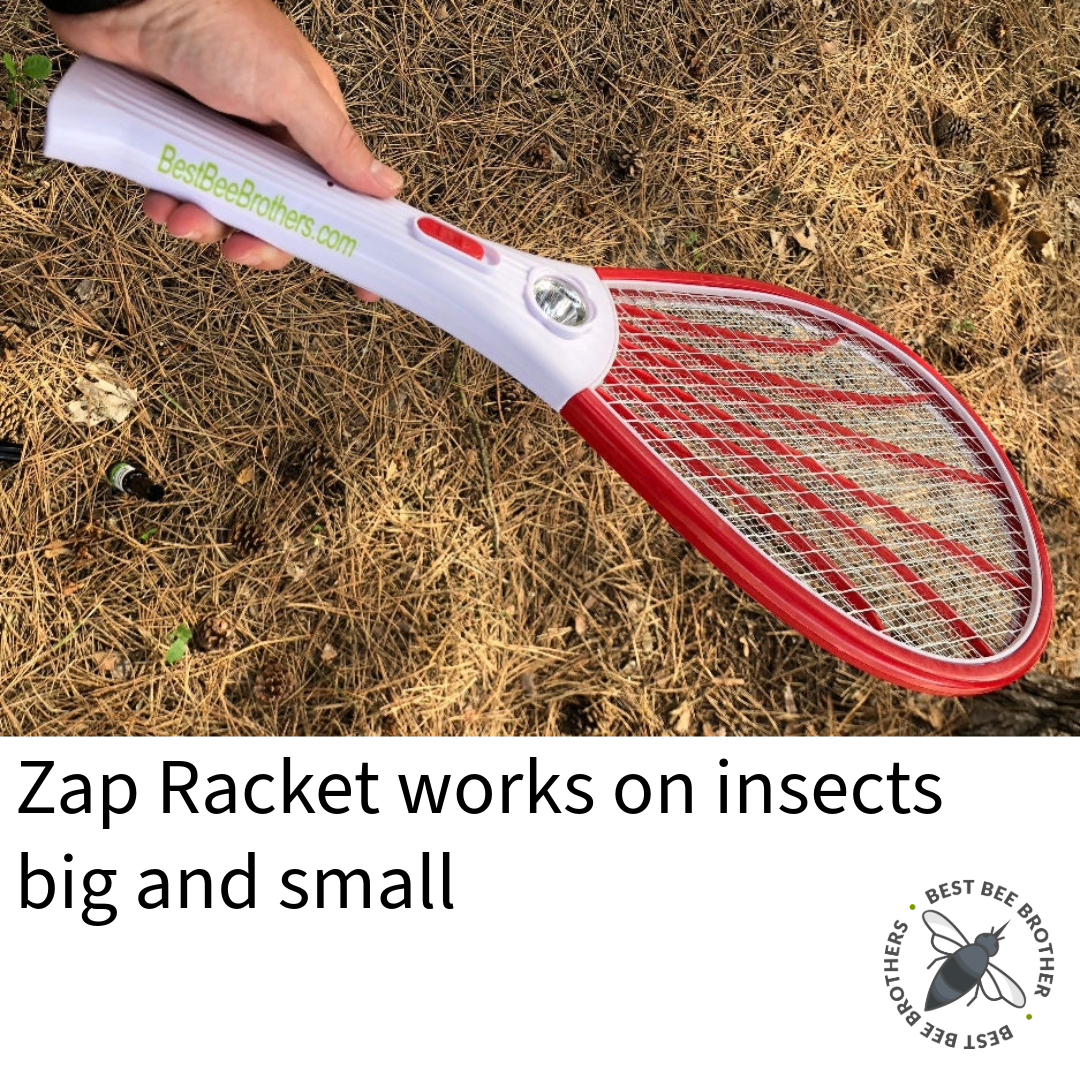 Bug Zapper Racket