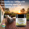 Lemongrass + Verbena  Citronella Soy Candle