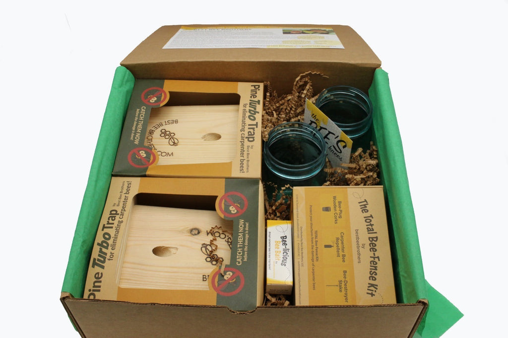 Carpenter Bee Pine Wood Turbo Trap Gift Box