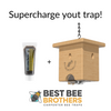 Carpenter Bee Pine Turbo Trap with Bee Vault