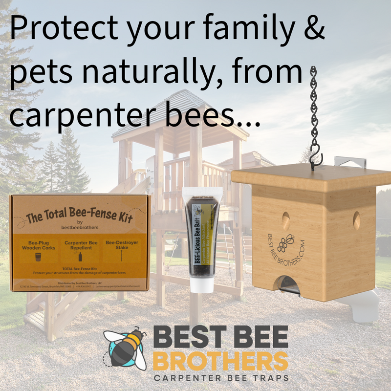 Best Bee Brothers Carpenter Bee Trap