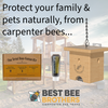 Carpenter Bee Pine Turbo Trap with Bee Vault