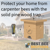 Carpenter Bee Pine Turbo Trap with Bee Vault