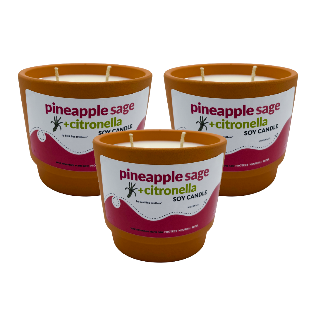 Hand Poured Citronella Soy Candles - Clean-Burning, Summer Scents, 3oz Glass Jar or 10oz Terracotta Pot
