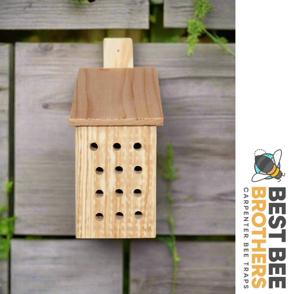 Slanted Roof Mason Bee Home