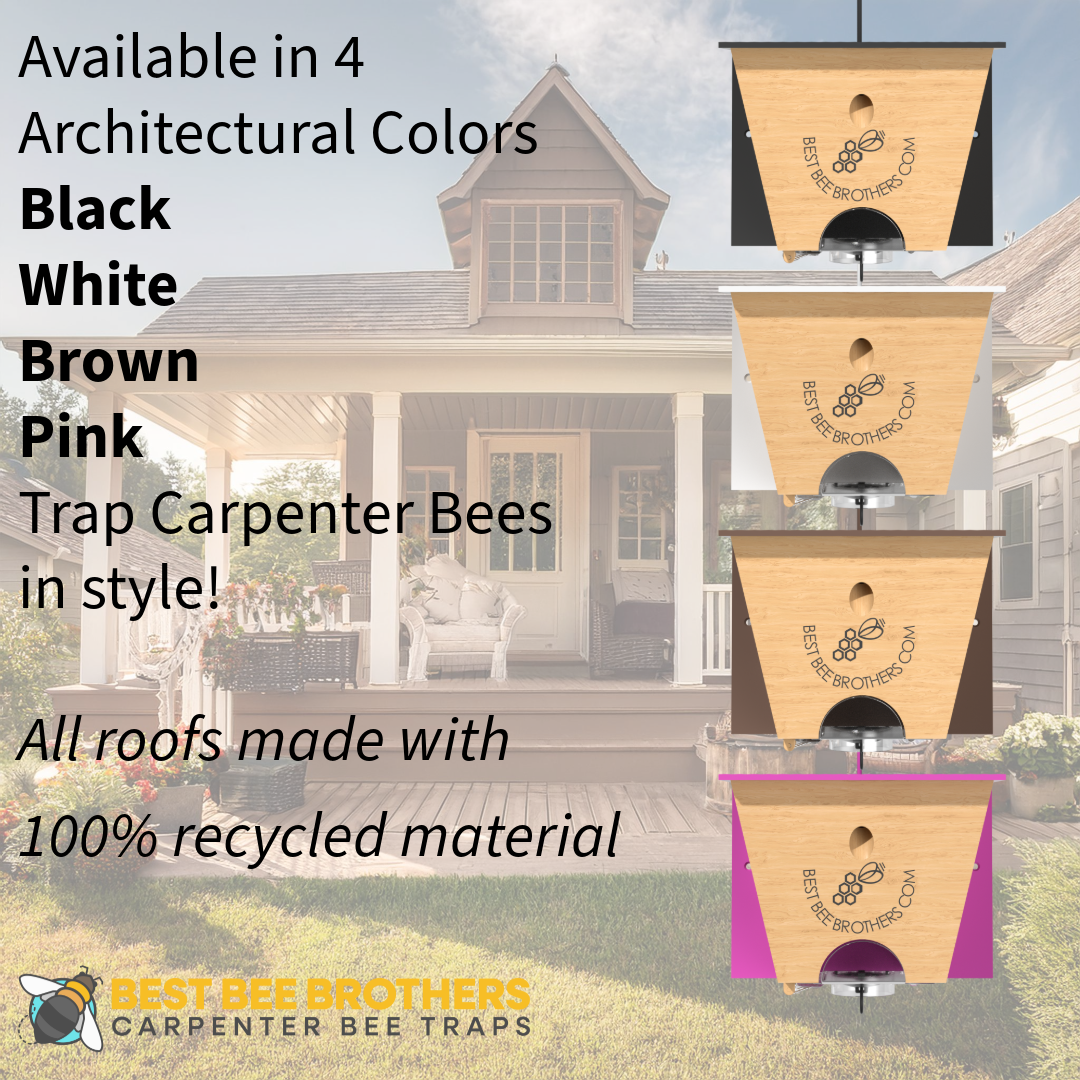 Carpenter Bee Turbo Trap 2.0 with Bee Vault - White Roof