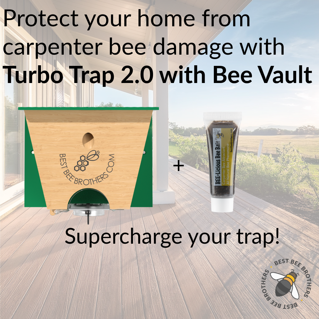 Carpenter Bee Turbo 2.0 with Bee Vault Trap: Pink Roof