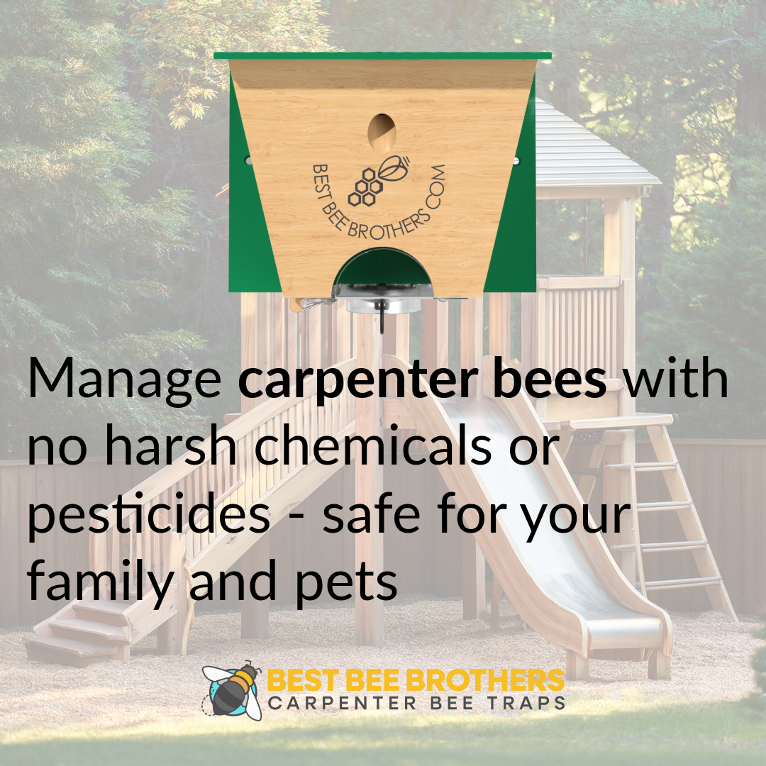 Carpenter Bee Turbo Trap 2.0 with Bee Vault - Brown Roof