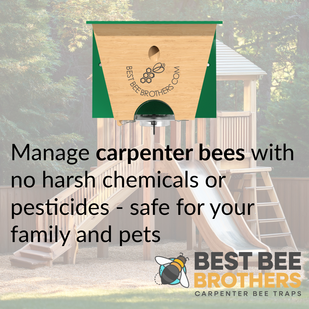 Carpenter Bee Turbo 2.0 with Bee Vault Trap: Pink Roof