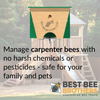 Carpenter Bee Turbo Trap 2.0 with Bee Vault - Black Roof