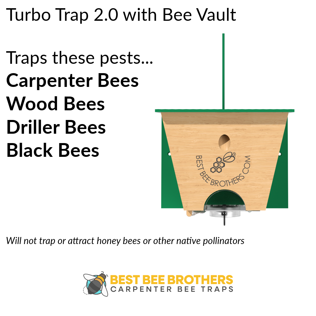 Carpenter Bee Turbo Trap 2.0 with Bee Vault - White Roof