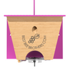 Carpenter Bee Turbo 2.0 with Bee Vault Trap: Pink Roof