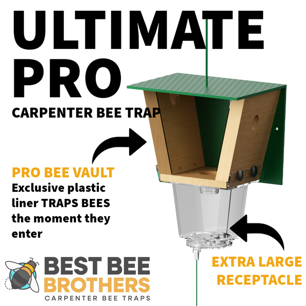 Ultimate Pro, Carpenter Bee Trap with Bee Vault and Extra Large External Receptacle