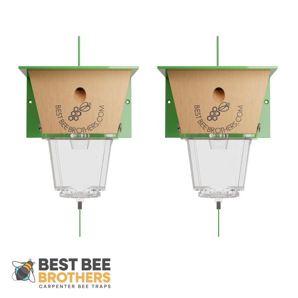 Ultimate, Carpenter Bee Trap with Large External Receptacle