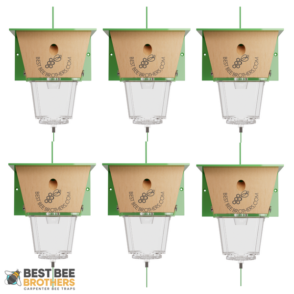 Ultimate, Carpenter Bee Trap with Large External Receptacle