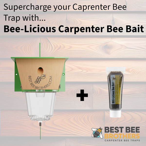 Ultimate, Carpenter Bee Trap with Large External Receptacle