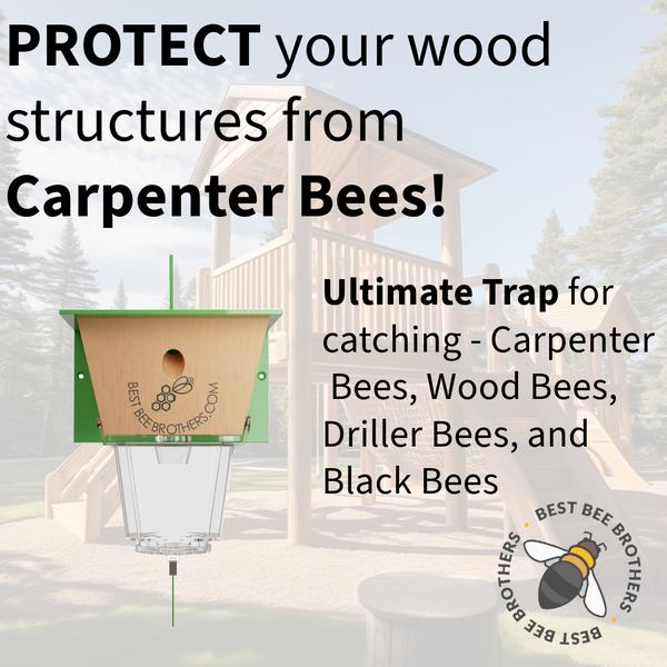 Ultimate, Carpenter Bee Trap with Large External Receptacle