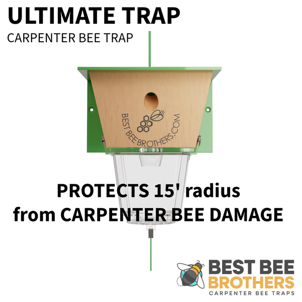 Ultimate, Carpenter Bee Trap with Large External Receptacle