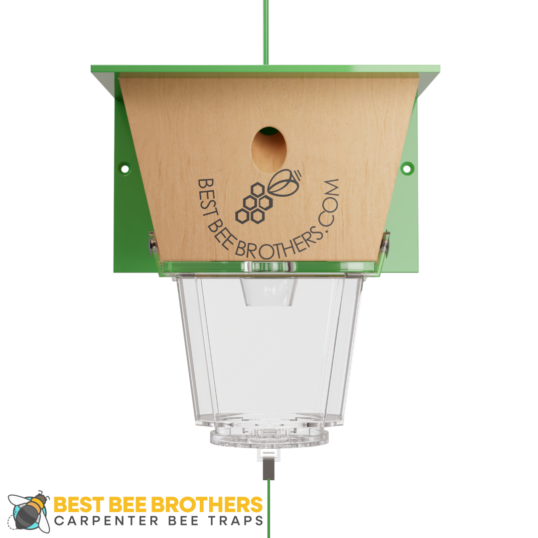 Ultimate, Carpenter Bee Trap with Large External Receptacle