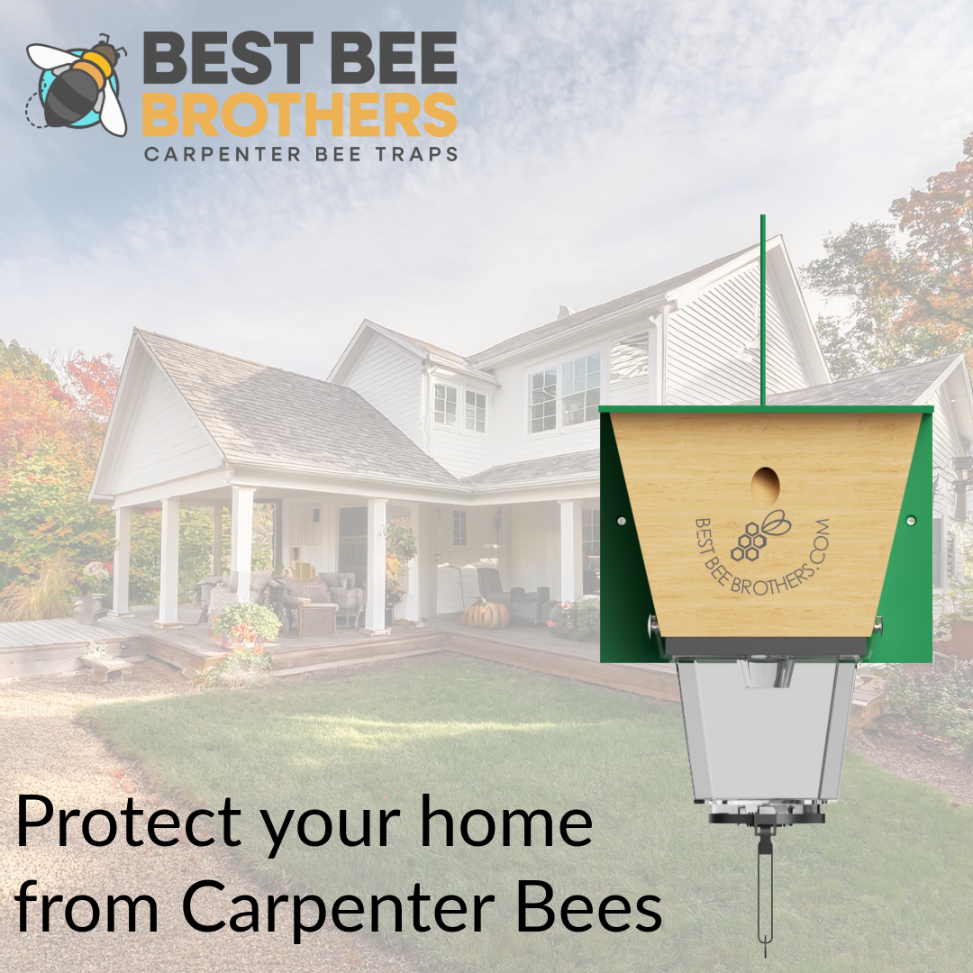 Ultimate Pro, Carpenter Bee Trap with Bee Vault and Extra Large External Receptacle