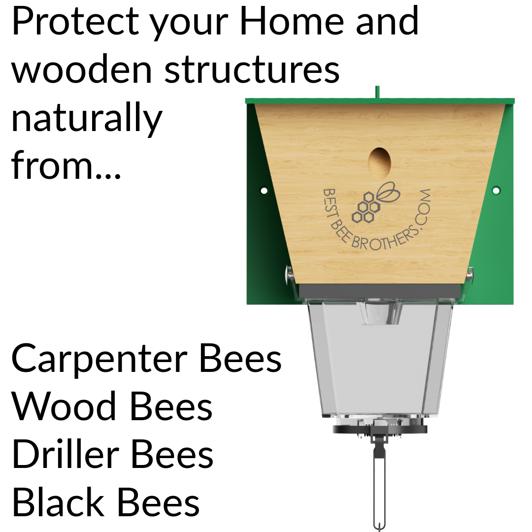 Ultimate Pro, Carpenter Bee Trap with Bee Vault and Extra Large External Receptacle