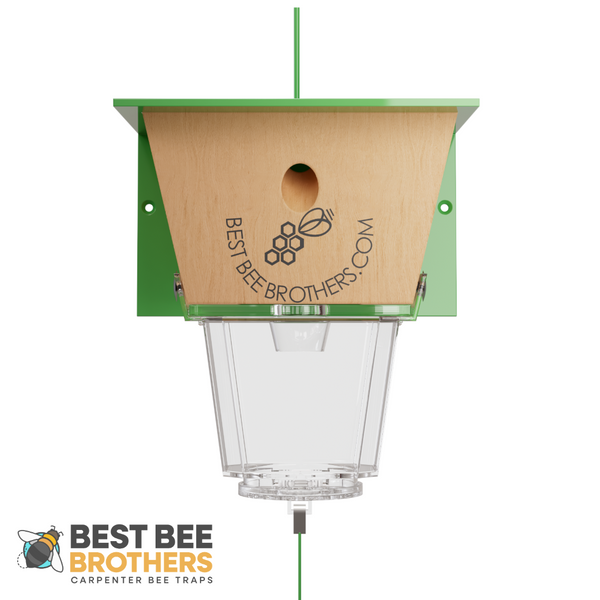 Ultimate, Carpenter Bee Trap with Large External Receptacle