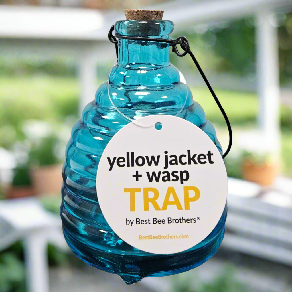 Glass Wasp Trap