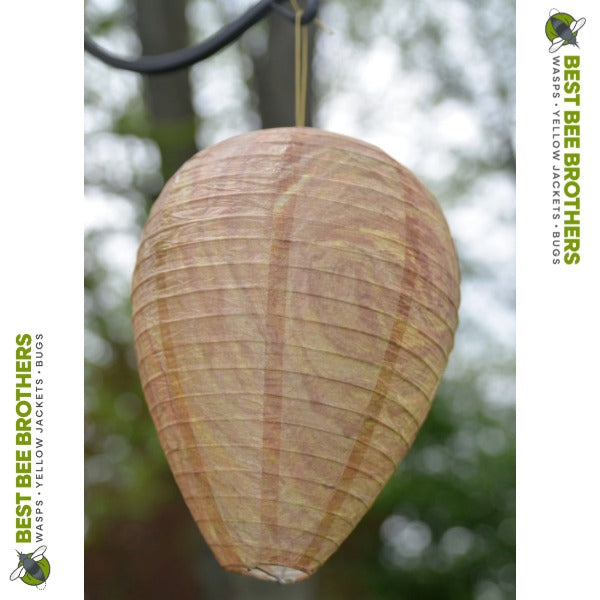 Wasp Deterrent Hives