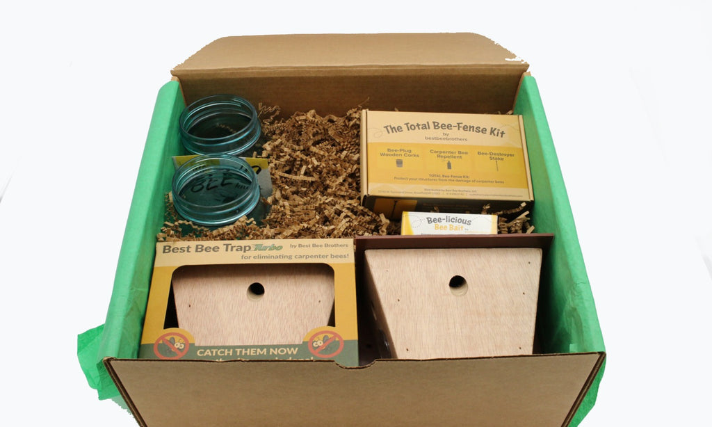 Carpenter Bee Turbo Trap Colored Roofs Gift Box
