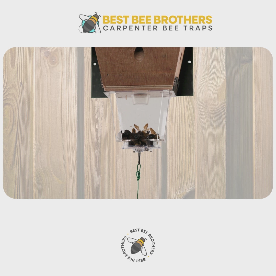 Ultimate Pro, Carpenter Bee Trap with Bee Vault and Extra Large External Receptacle