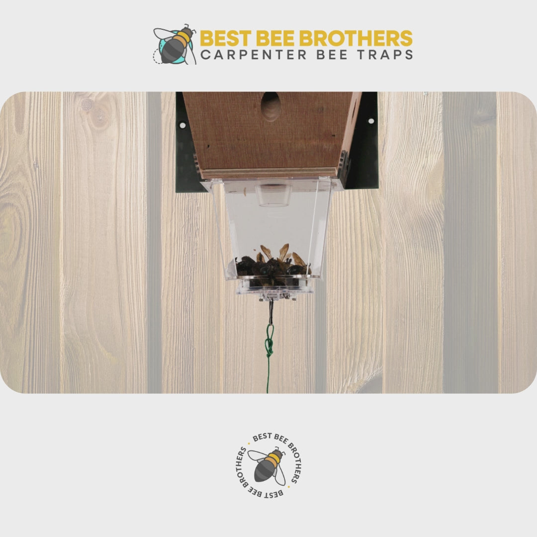 Ultimate Pro with Color Roof, Carpenter Bee Trap with Bee Vault and Extra Large External Receptacle