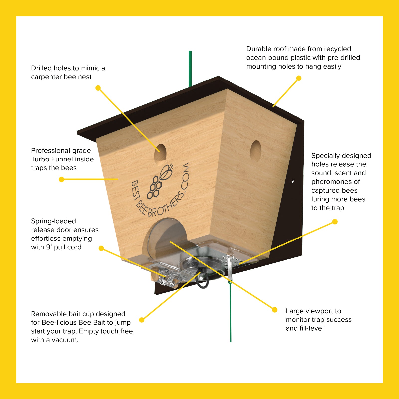 Carpenter Bee Turbo Trap Designer Gift Box | Best Bee Brothers